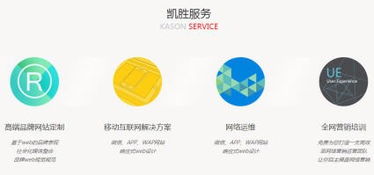 凱勝科技 一站式數字化解決方案，賦能企業全鏈路增長